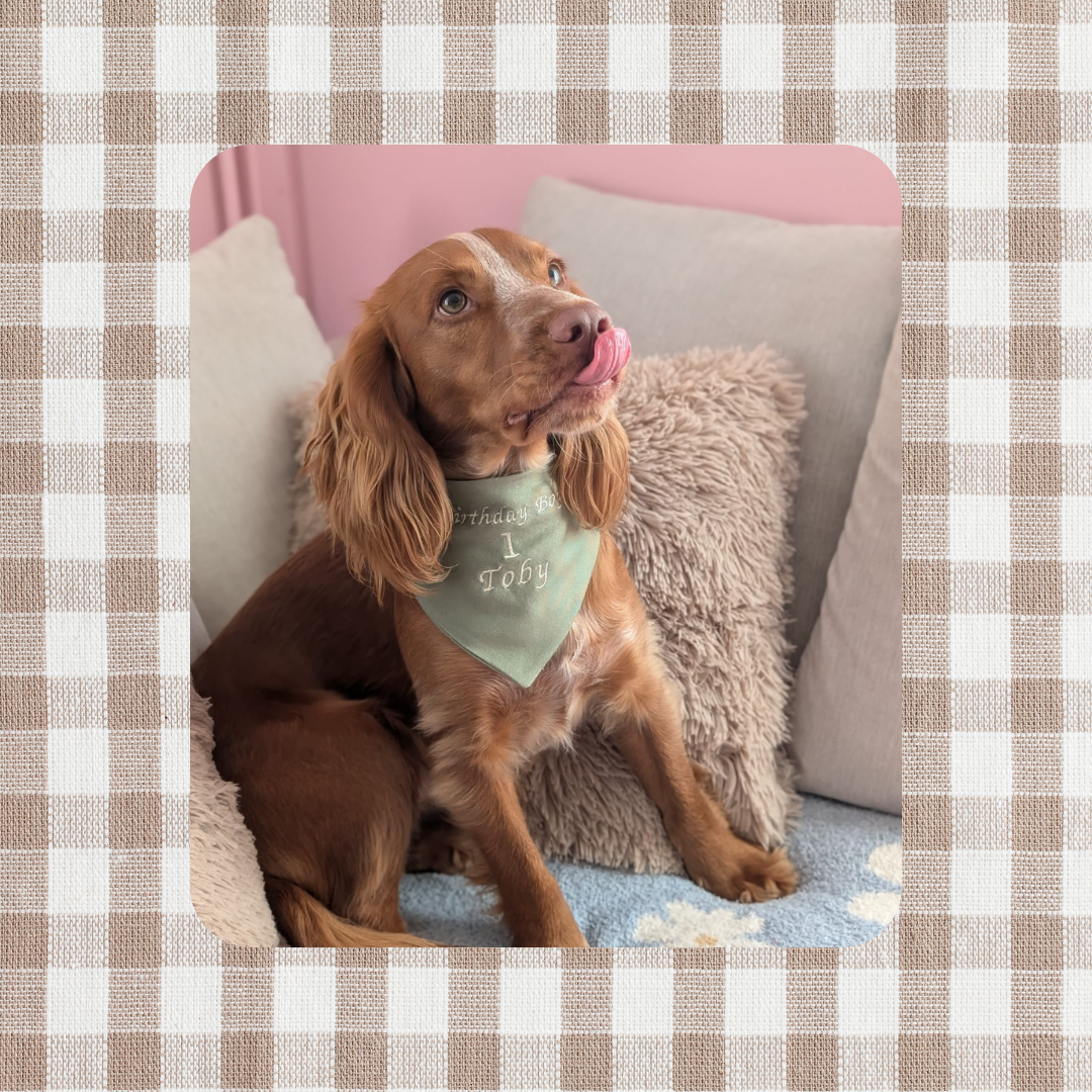 Embroidered Dog Bandana