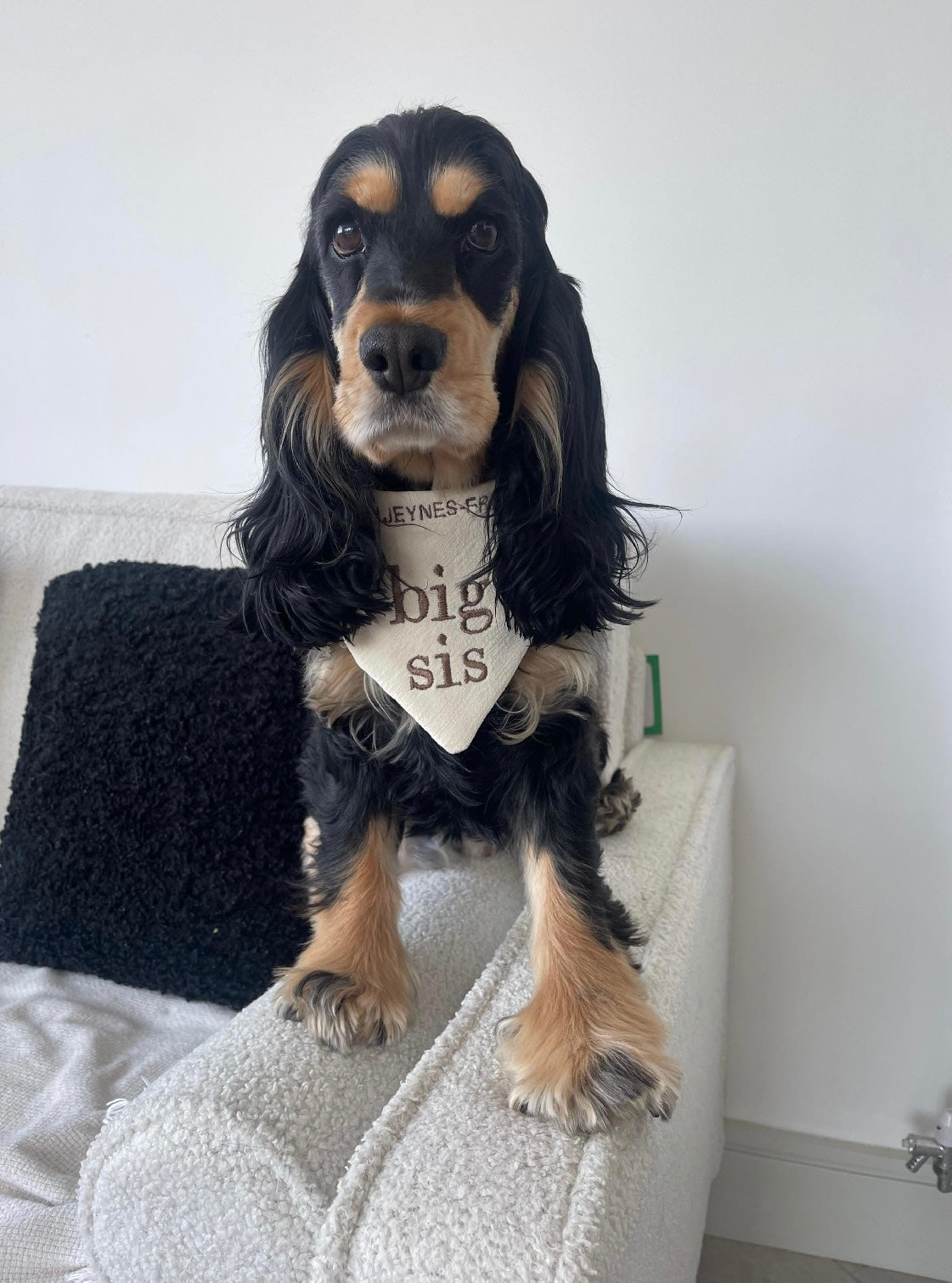 Embroidered Dog Bandana
