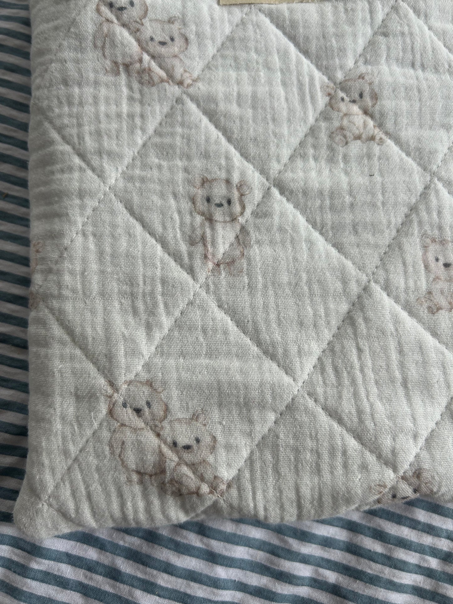 Teddy Bear Book/Kindle Sleeve