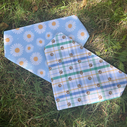 Mollix Mail - The Bandana Club