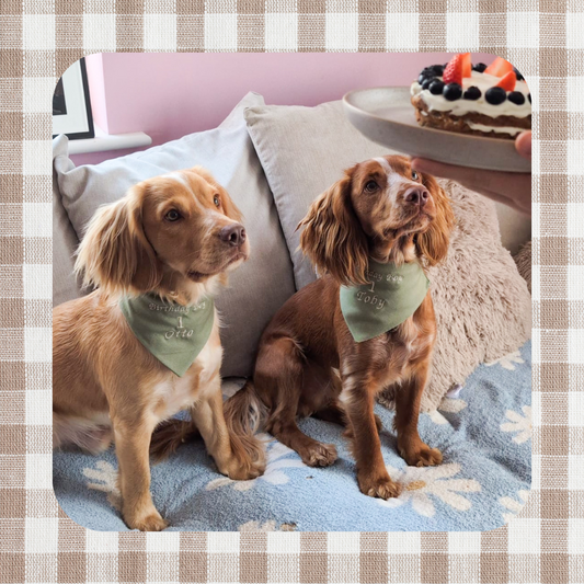 Embroidered Dog Bandana