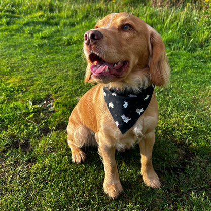 Mollix Mail - The Bandana Club