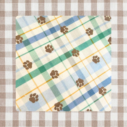 Pawsome Bandana